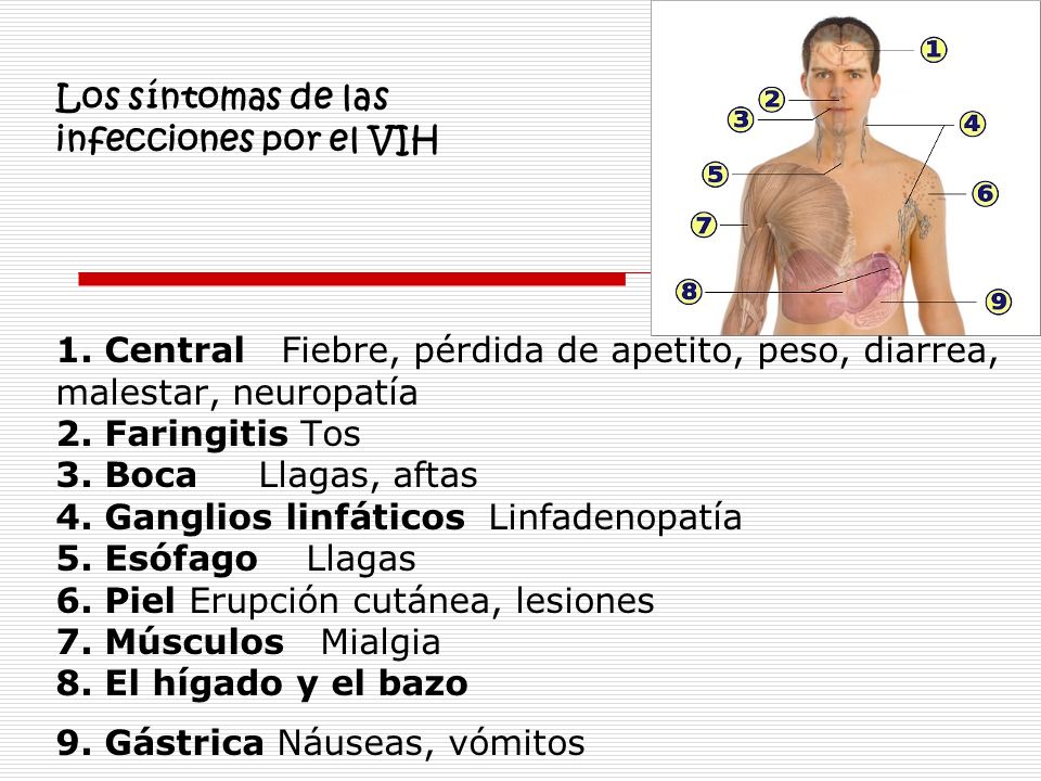 Corro por las tardes por 30 minas cuando comenzaré a adelgazar